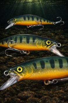 Minnow Chump - 6,5cm - 9gr